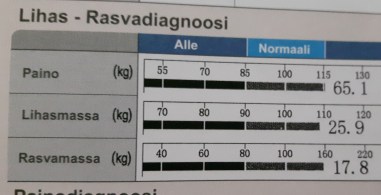 inbody_rasvadiagnoosi_2